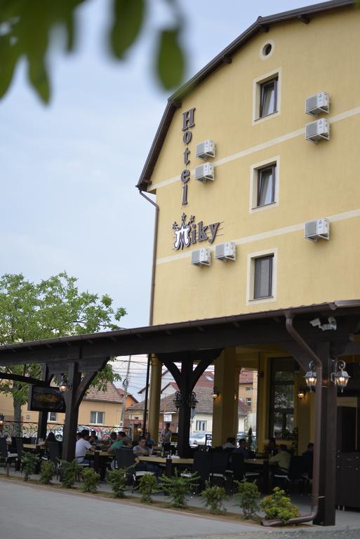 Hotel Miky Арад Екстериор снимка